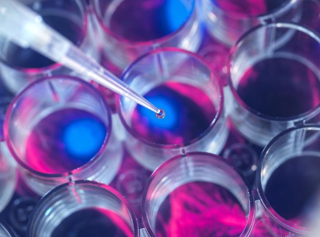 PowerSoil DNA Isolation Kit