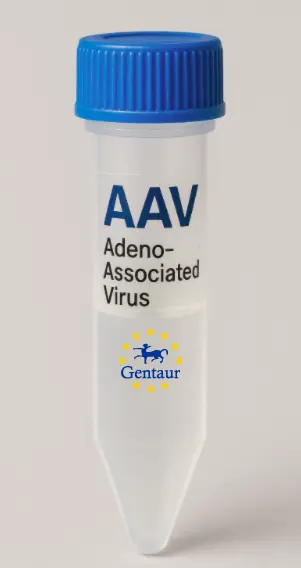 BCL6B AAV Vector (Mouse) (CMV)