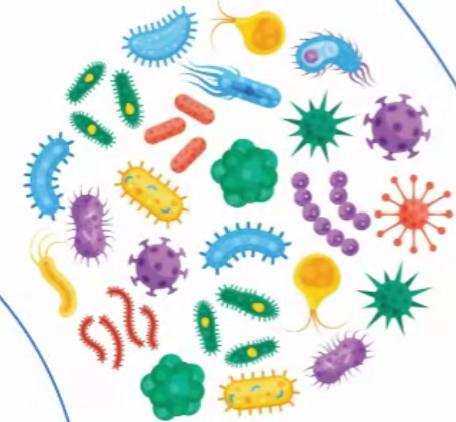 [26-K331-100] HDAC Activity Colorimetric Assay kit