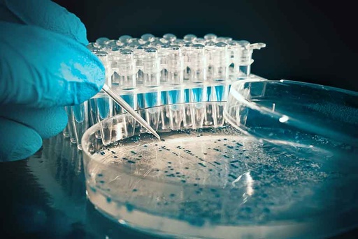 [36-Z7020001] Mouse tissue array, 18 types of mouse